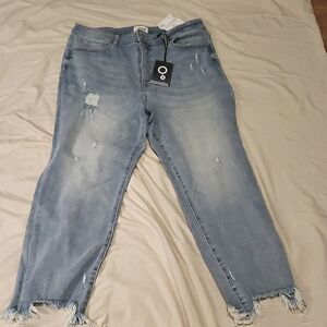 Mid-Rise Skinny Jean (3X)